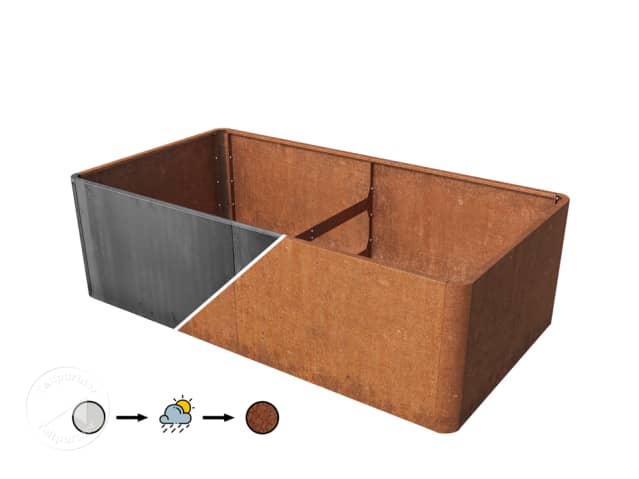 DTL-1_HOB_DES_MARIO_200x107x60