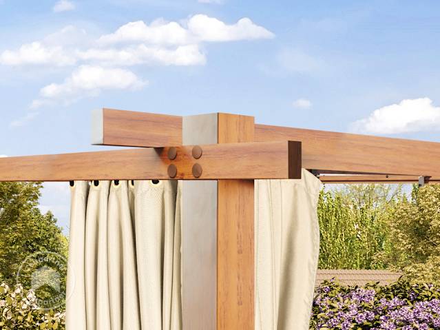 DTL-5_ZUB_PER_CLA_SID_CH