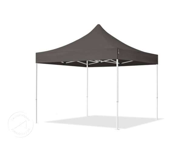 DTL-1_FP_0300x0300_S30_DGY