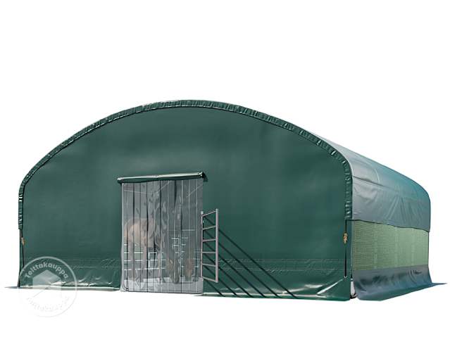 DTL-3_ZUB_WEI_PRO_STR_0800x0800_DGN