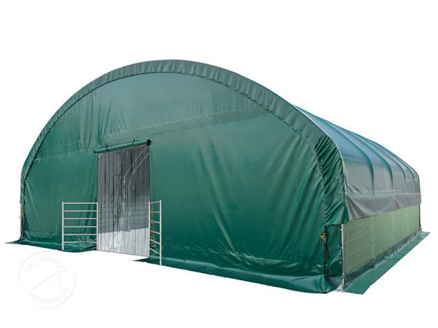 DTL-3_ZUB_WEI_PRO_STR_1000x1000_DGN