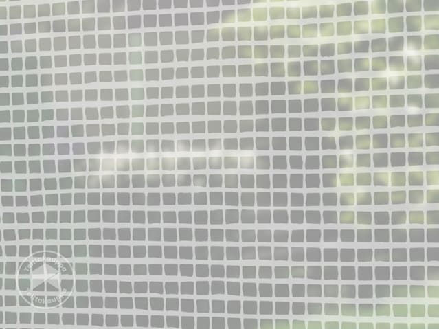 DTL-6_AFO_WH