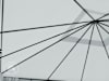 DTL-5_GAR_SUN_PRE_0400x0400_ST