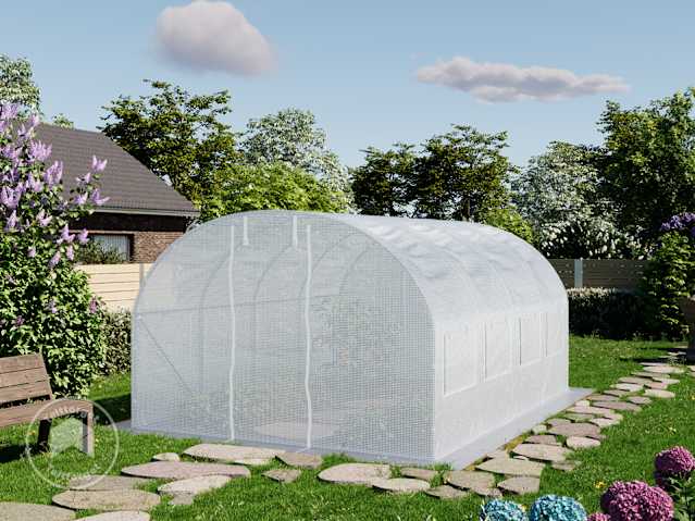 DTL-1_FOG_BAS_0300x0400_WH