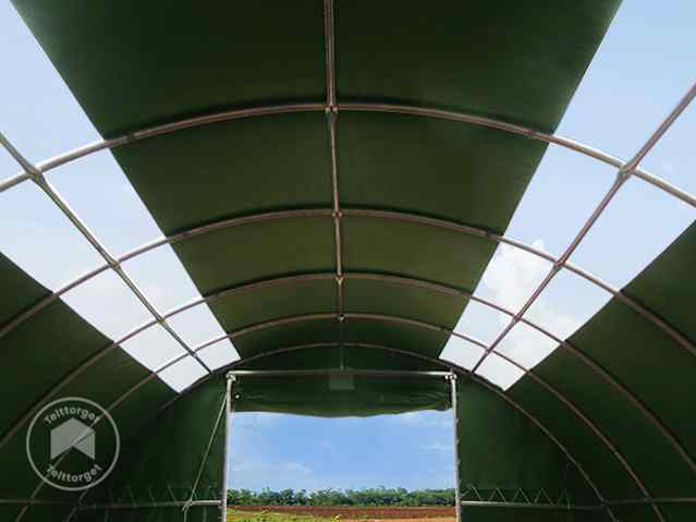 DTL-3-RBH_window