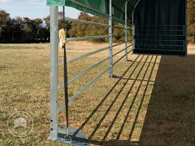 DTL-5_WEI_PRO_0600x0600_DGN