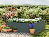 GBD_HOB_HAL_119x119_AN