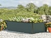 GBD_HOB_HAL_150x77_AN