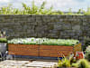GBD_HOB_HAL_235x119_HO