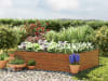 GBD_HOB_HAL_150x119_HO