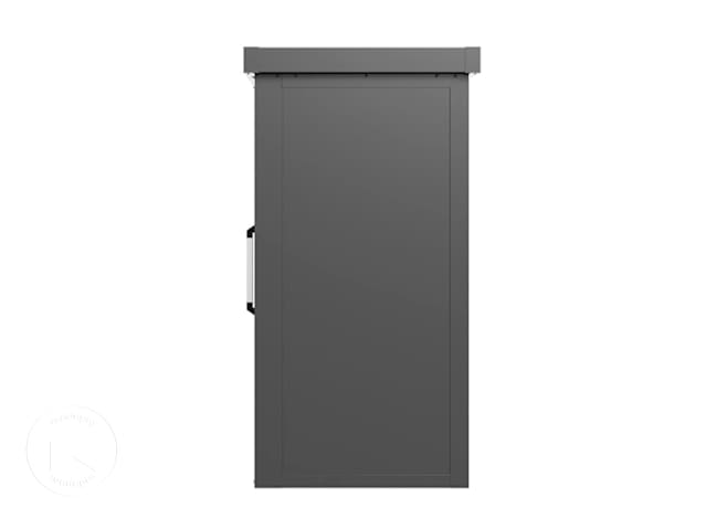 DTL-2_GES_LEON_1208L