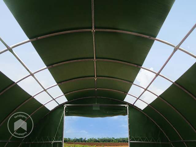 DTL-3-RBH_window