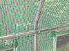 DTL-6_FOG_BAS_GN