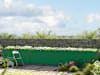 GBD_HOB_KIN_535_MGN