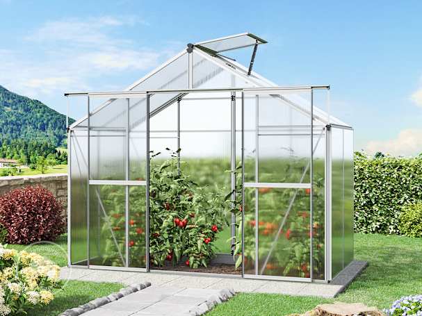 256 x 131 cm Estufa de jardim, Sem conjunto promocional | 6 mm 256 x 131 cm Estufa de jardim, Sem conjunto promocional | 6 mm