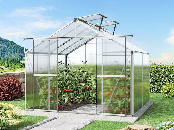 256 x 256 cm Estufa de jardim, Sem conjunto promocional | 6 mm 256 x 256 cm Estufa de jardim, Sem conjunto promocional | 6 mm