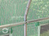 DTL-6_FOG_BAS_GN