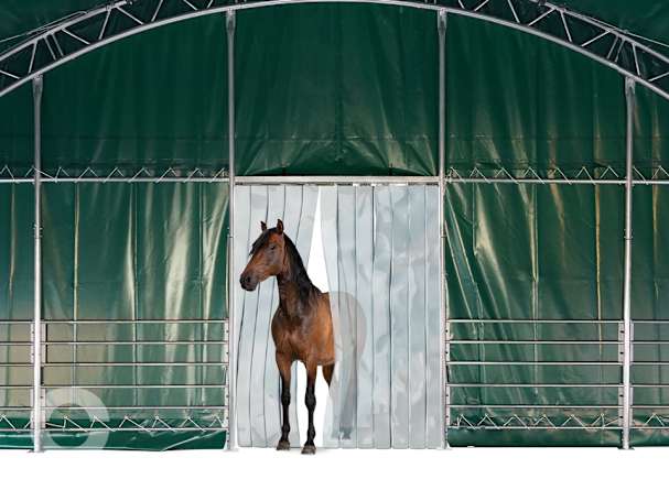Streifenvorhang für das Professional Weidezelt 10x10 m