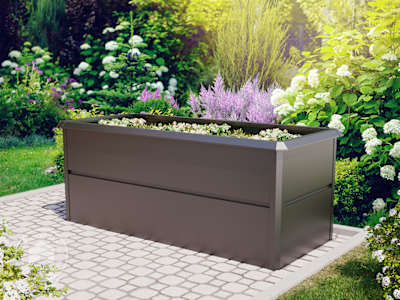 galvanised steel raised bed