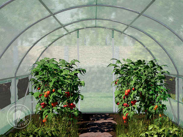 tear-resistant polytunnel in detail