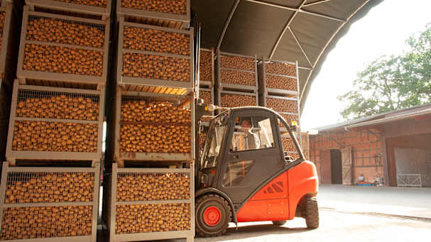 stockage de pommes de terre