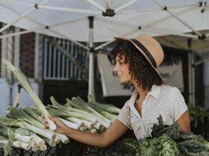 Un barnum marché pour stand de vente