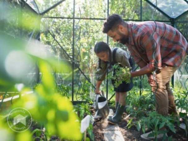 Serre de jardin chauffée pour des cultures protégées