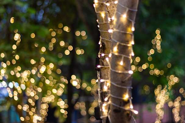 Kerstversiering buiten boom met led-lichtjes