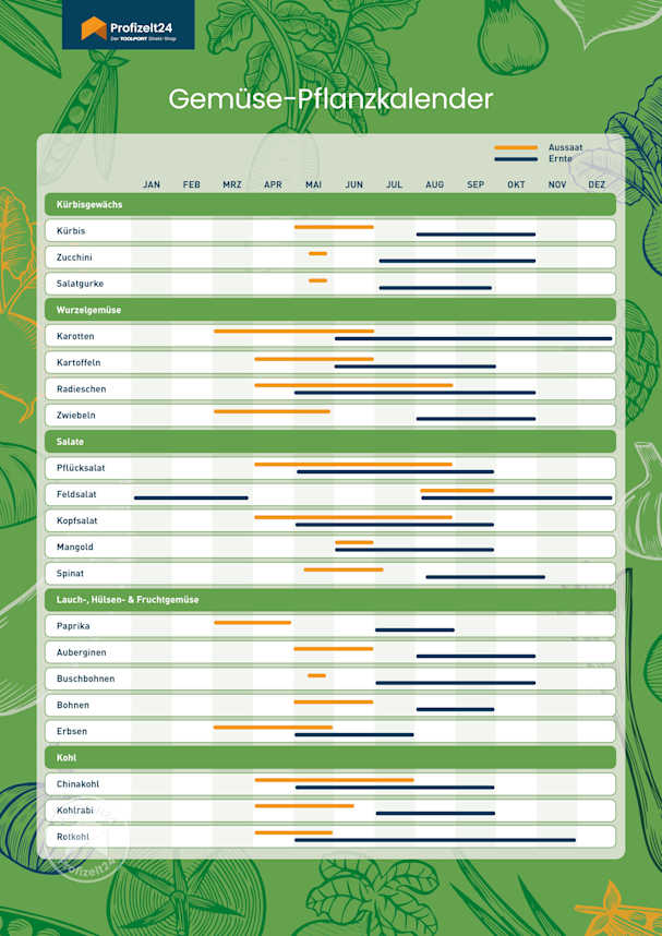 Der Profizelt24 Gemüse-Pflanzkalender zum Ausdrucken