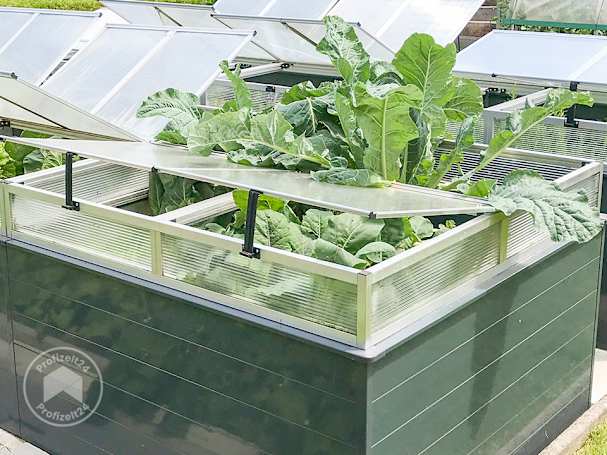 Gemüse per Frühbeetaufsatz im Hochbeet überwintern