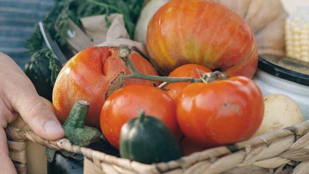 Rezepte mit Wintergemüse zubereiten