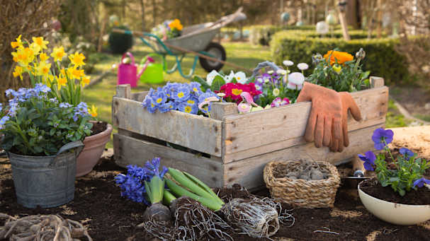 Frühling bedeutet Gartenarbeit