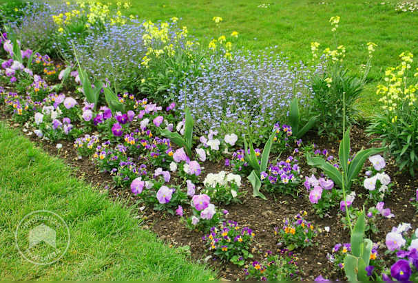 Ein prall gefülltes Blütenbeet im Garten