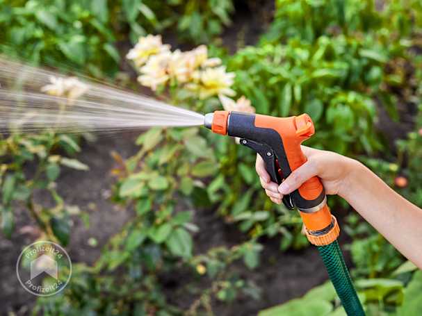 Pflanzen gleichmäßig per Schlauch bewässern