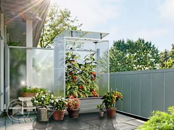 Ein Gewächshaus auf den Balkon aufstellen