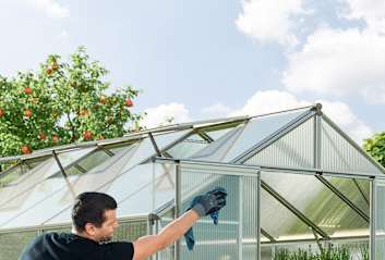 Das Gewächshaus gründlich reinigen