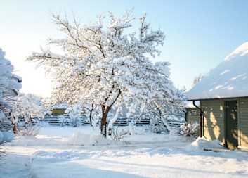 Schnee im Garten im Winter