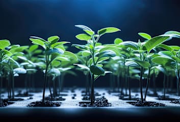 Pflanzen im Gewächshaus beleuchten