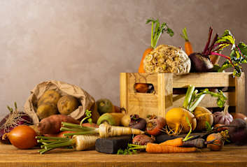 Im Winter Gemüse anbauen