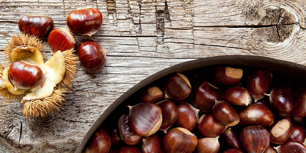 castagne