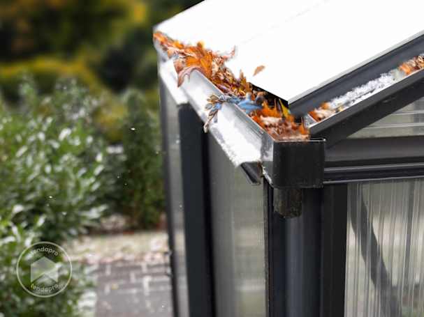 Grondaie della serra intasate da foglie