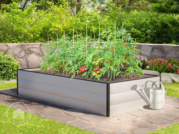 pomodori in orto rialzato di alluminio