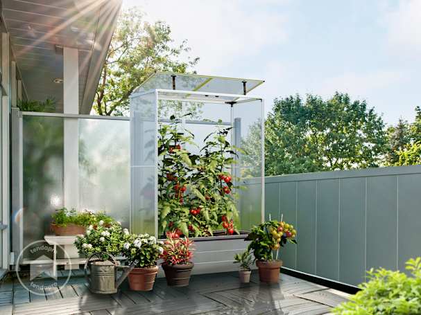 coltivare in orto sul balcone