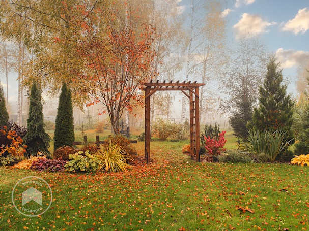 giardino con fiori e piante autunnali