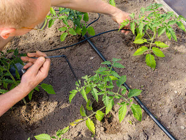 Irrigazione a goccia nell'orto rialzato