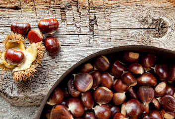 castagne