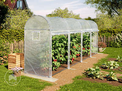 Estufa de plástico para tomates com 1 x 6 m