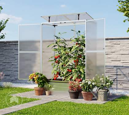 Uma estufa alta para tomates